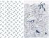 Odyssey Teatowel Set